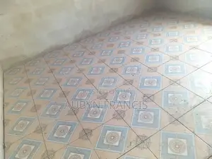 Professional Tiler and PVC Tile Installation