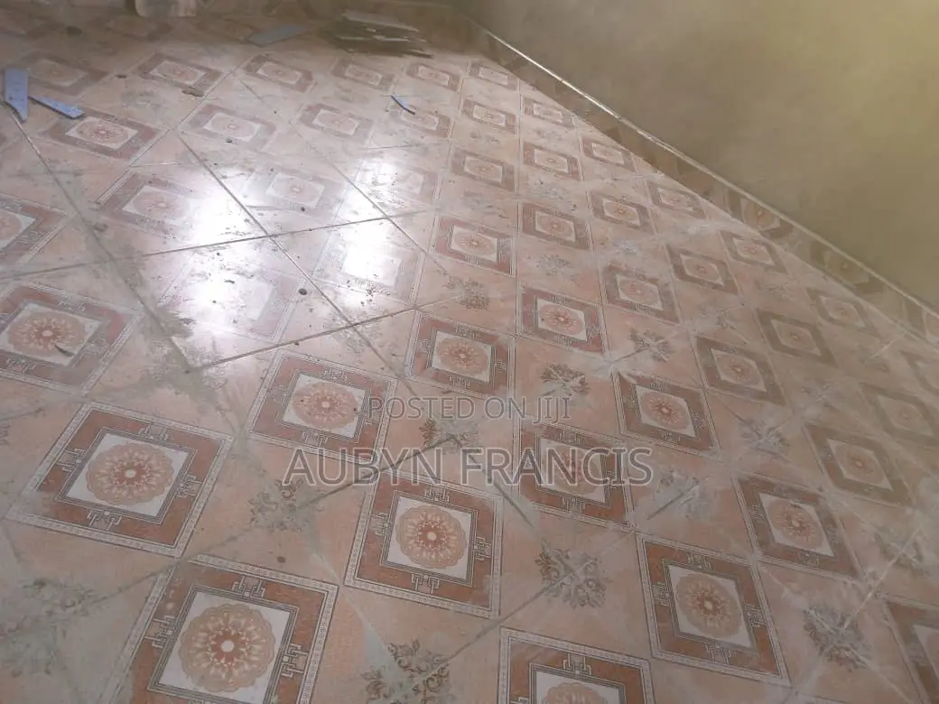 Professional Tiler and PVC Tile Installation