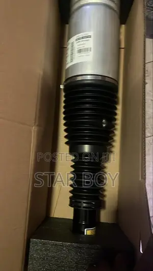 Range Rover Sports:2016 to 2024 Front Shocks