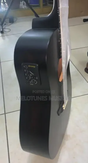 Stringberg Semi-Acoustic Guitar