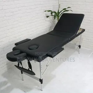 250kg Foldable Spa Bed