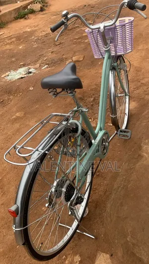 Bicycle With Powerful Design