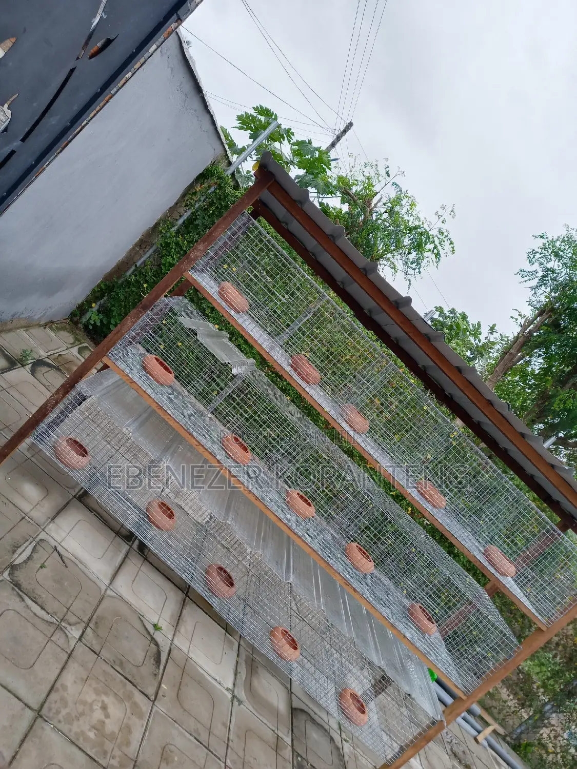 15 Rooms Grasscutter Cage