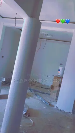 Professional Painter