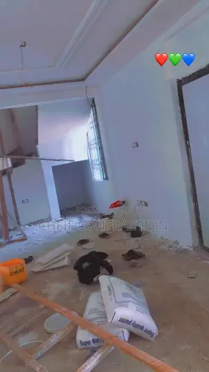 Professional Painter