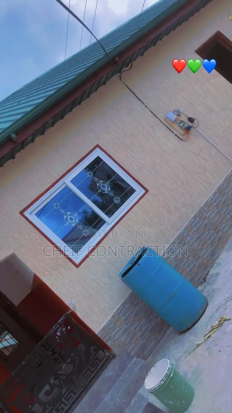 Professional Painter