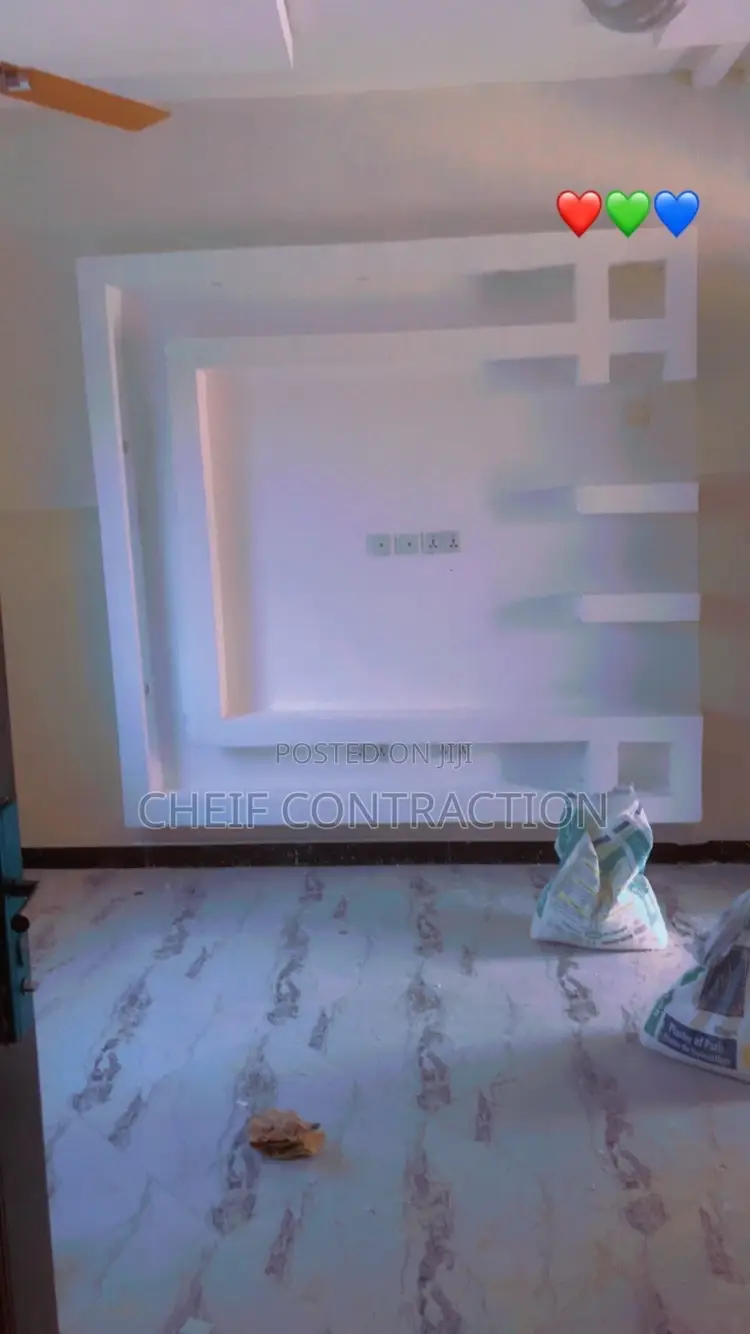 Professional Painter