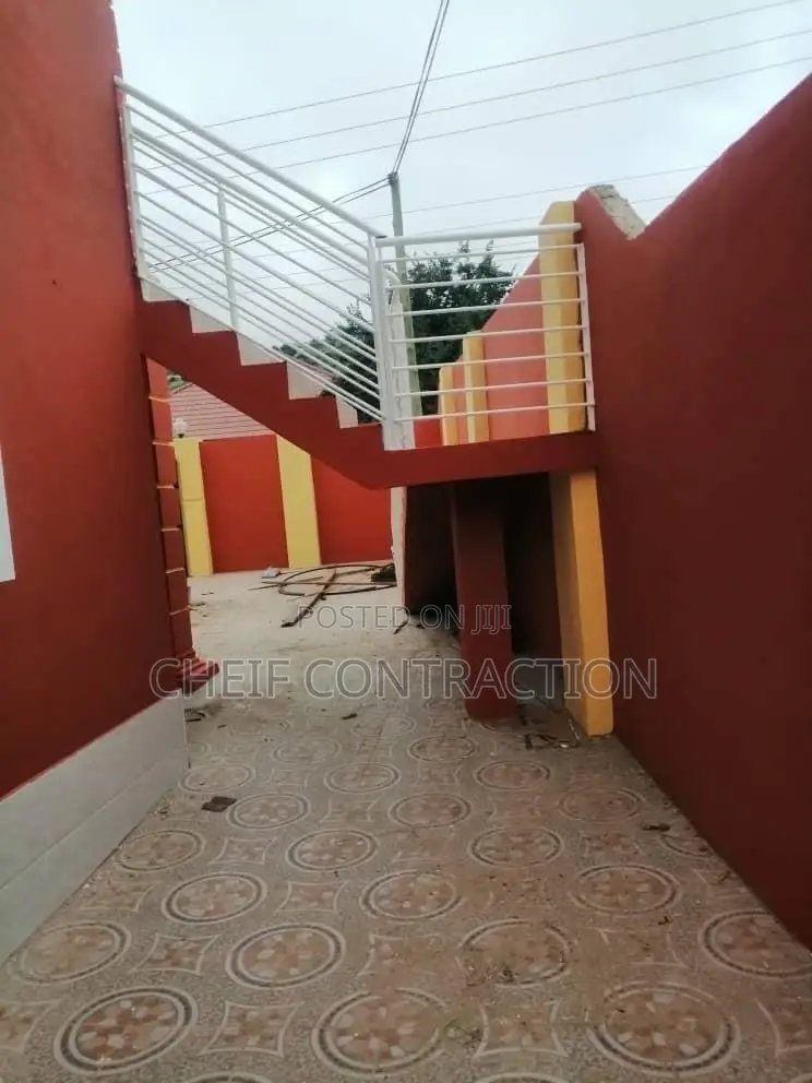 Professional Painter