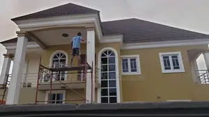 Professional Painter