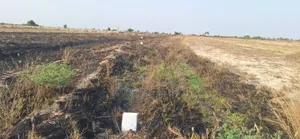 Affordable Promo<> Secure Plots at Prampram Beach Lane