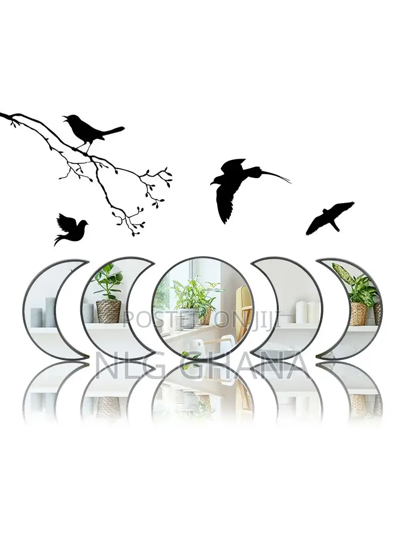 Moon Phase Mirror Set With Birds for Home Wall. Ghx5537