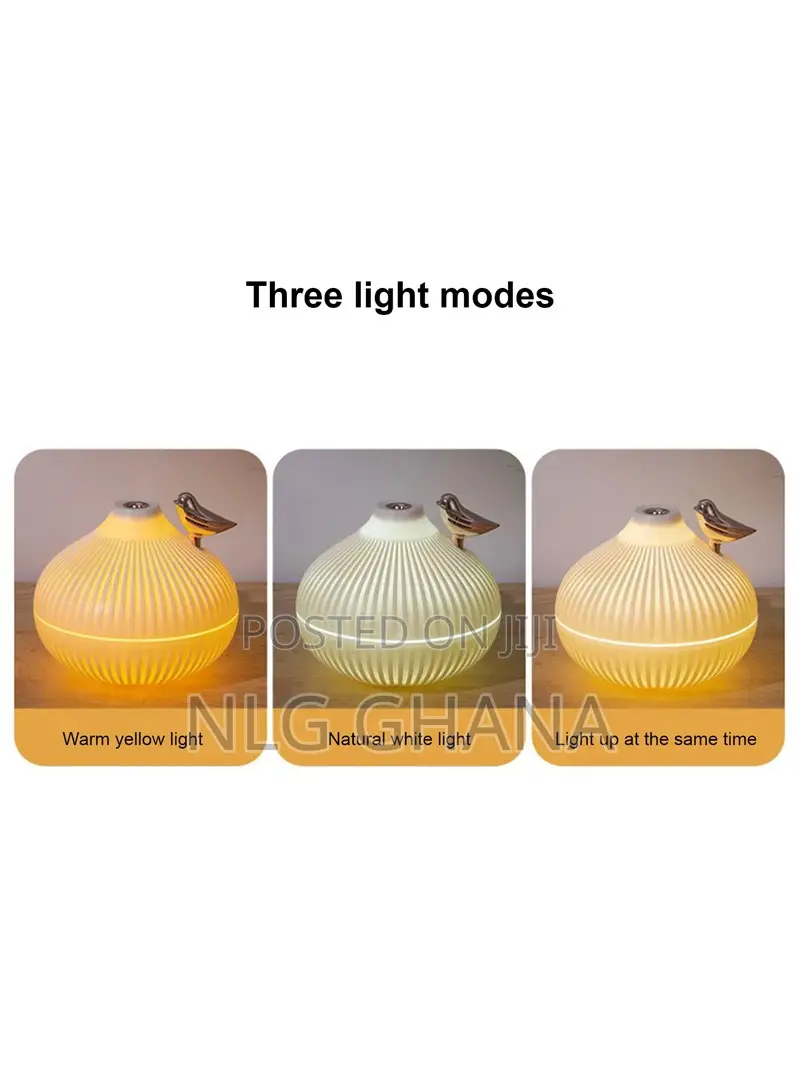 Essential Oil Diffuser Steam Ultrasonic Aroma. V