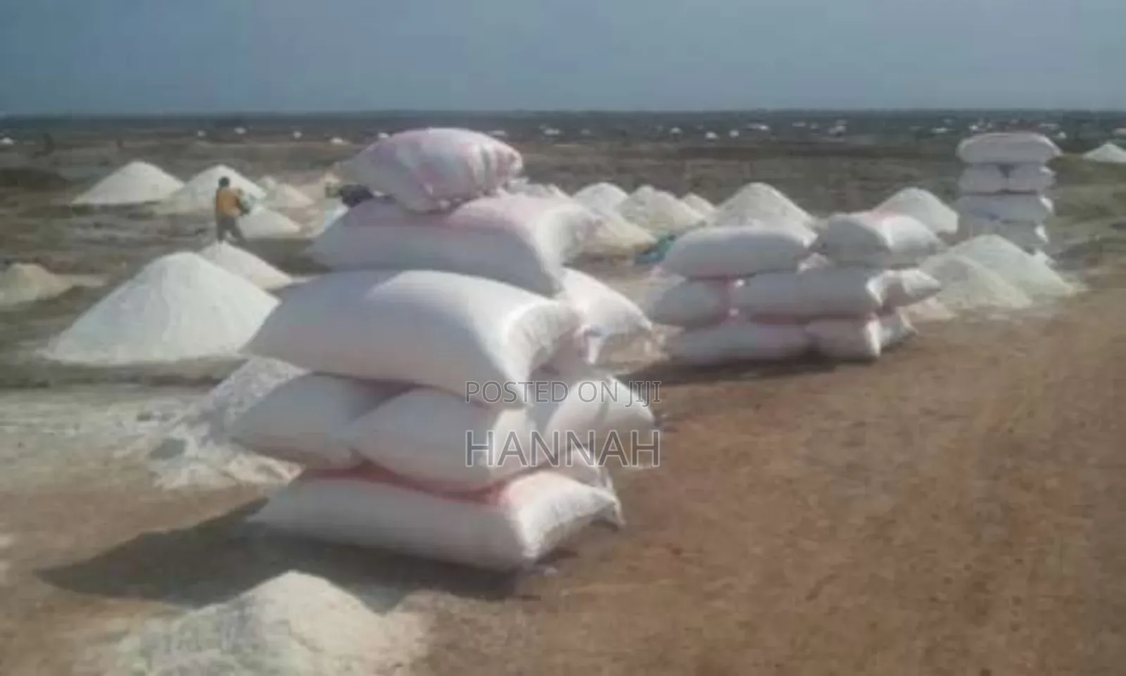 Ada Salt 25kg( Clean and White ) Available
