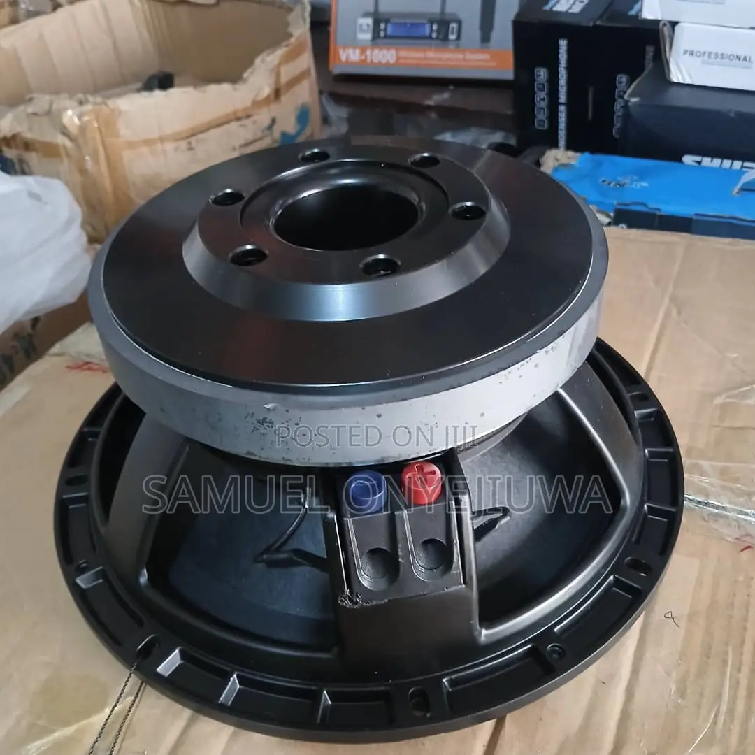 12 Inches Double Magnet Speaker