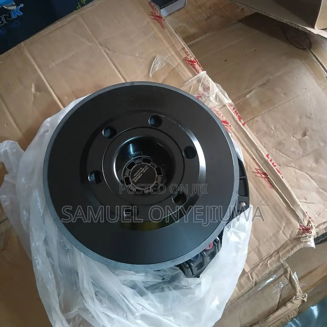 12 Inches Double Magnet Speaker