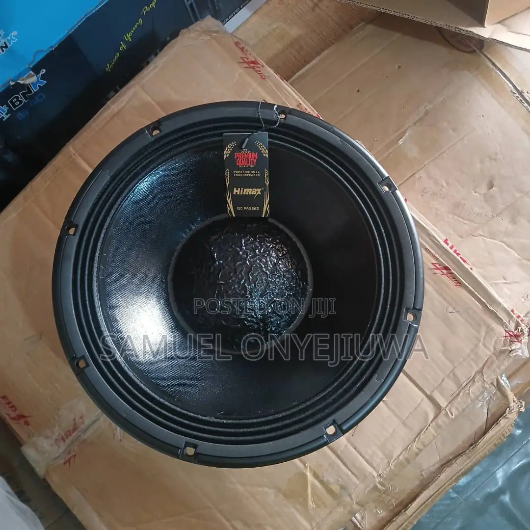 12 Inches Double Magnet Speaker