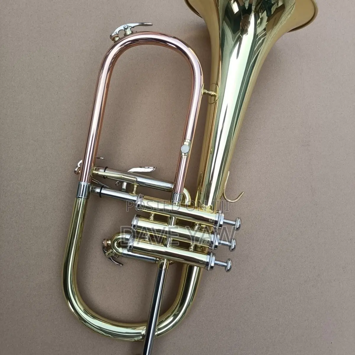 Frugal Horn