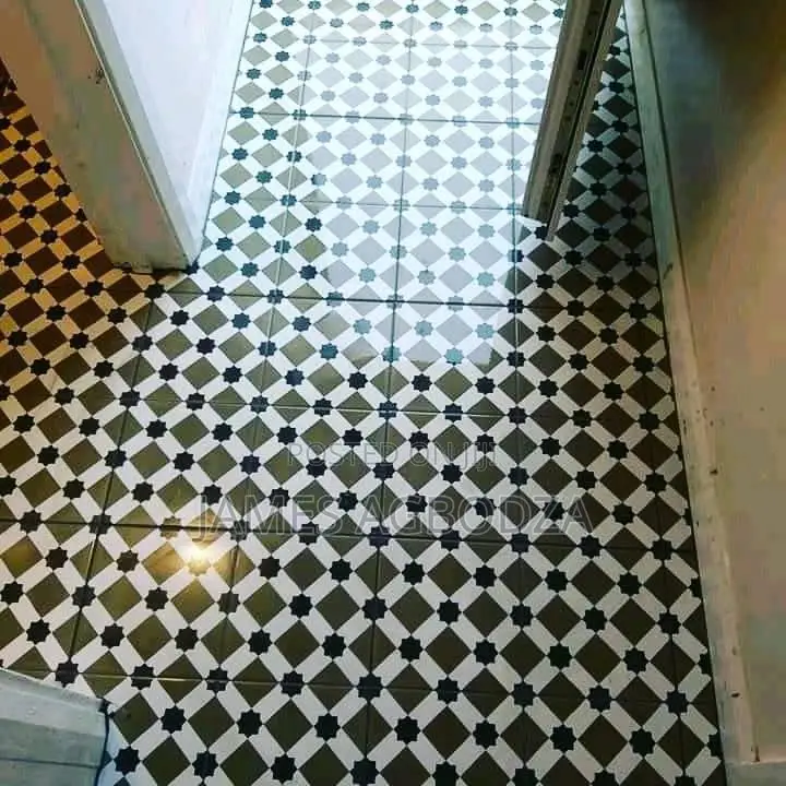 Professional Master Tiler.