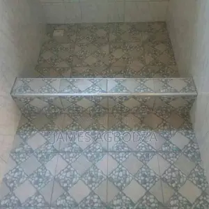 Professional Master Tiler.