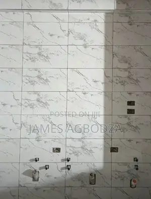Professional Master Tiler.