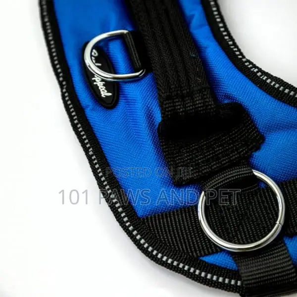 No Pull Dog Harness
