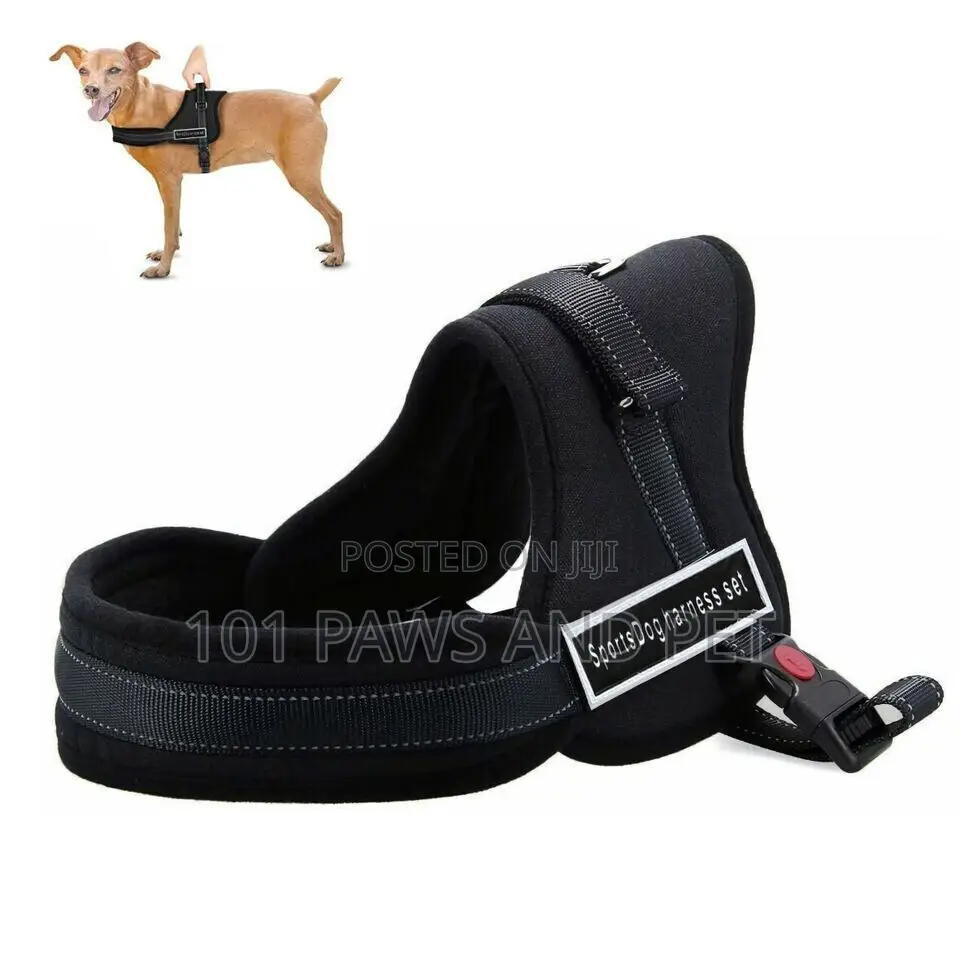 No Pull Dog Harness