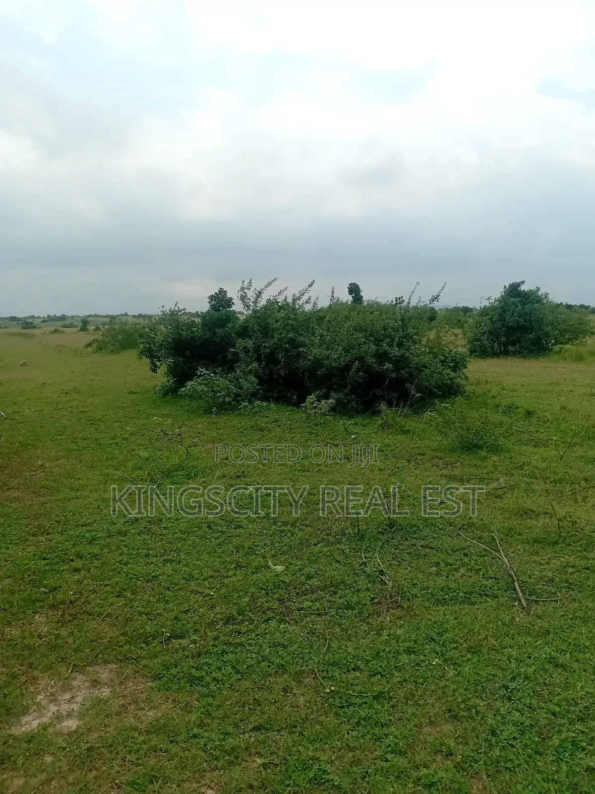Affordable Serene Environment Plot for Sale at Tsopoli