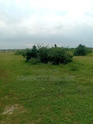 Affordable Serene Environment Plot for Sale at Tsopoli