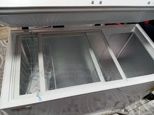Bright H a Chest Freezer Model H a-B/Dbc318q Freezer