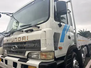 Hyundai Mighty 25 Ton