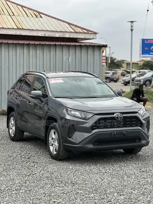 Toyota RAV4 LE AWD 2020 Gray
