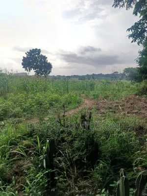 20 Acres at Upsa
