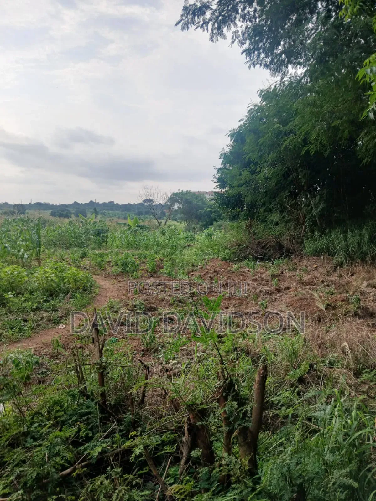 20 Acres at Upsa