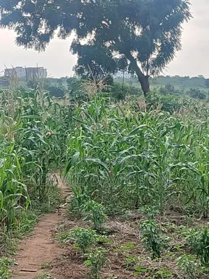 20 Acres at Upsa