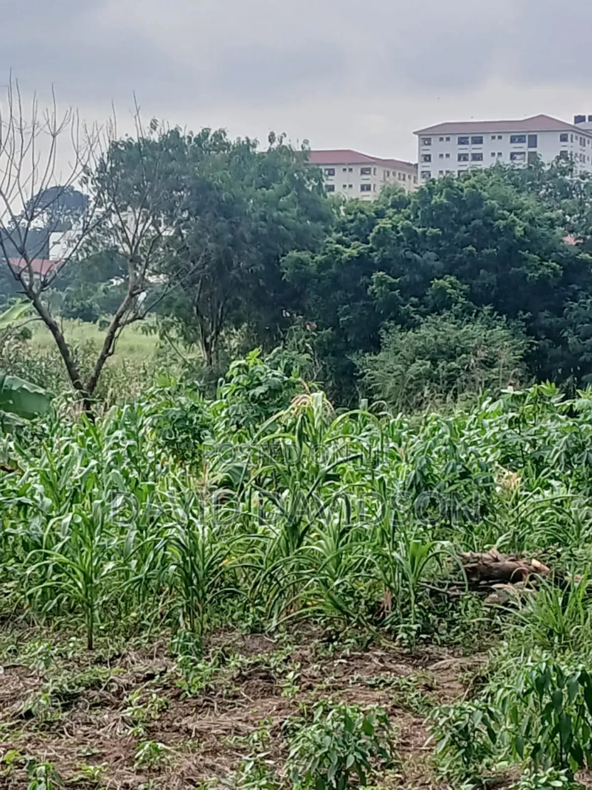 20 Acres at Upsa