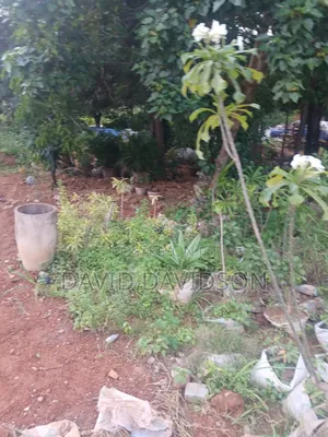 20 Acres at Upsa