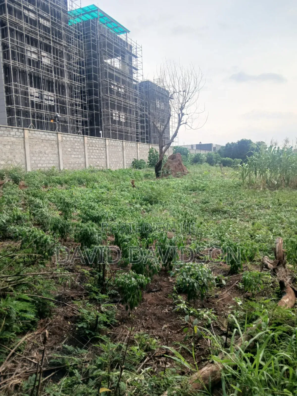 20 Acres at Upsa