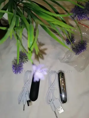 Silver Bullet Vibrator Rechargeable