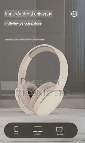 Earphone or Headphone