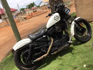 Harley-Davidson 2010 White
