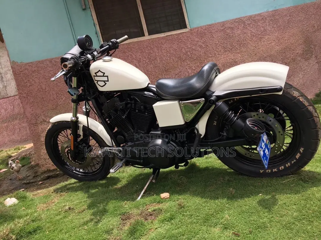 Harley-Davidson 2010 White