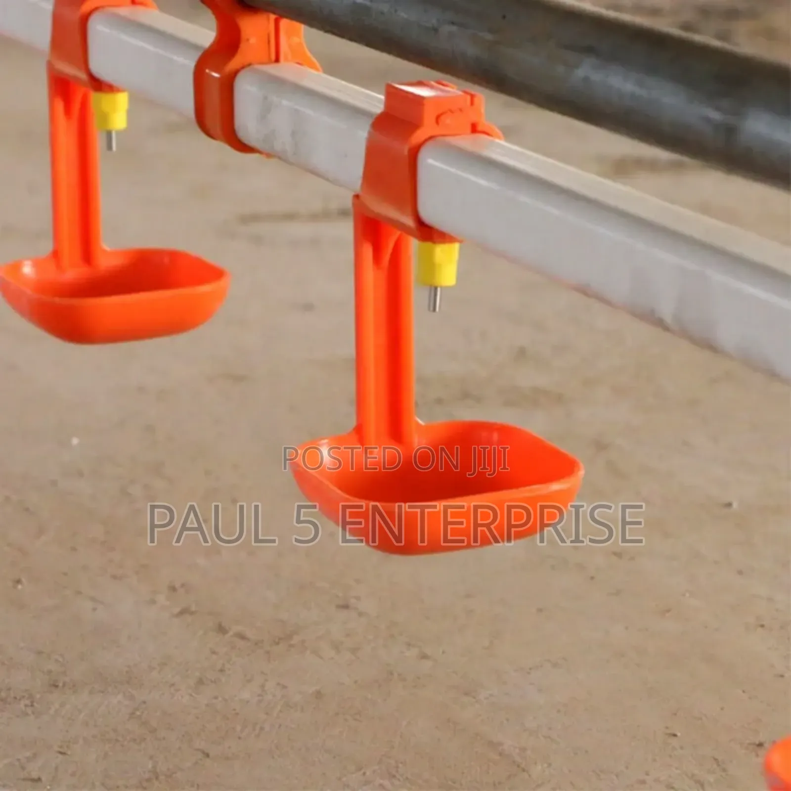 Automatic Chicken Drinkers Wholesale and Retail
