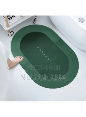 Super Absorbent Floor Carpet Quick Drying Bath Rug.
