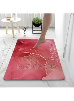 (L40 X W60)Cm Mat Super Absorbent Bathroom Mat. Tvx19005
