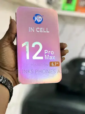 Photo - 12 Pro Max Screen