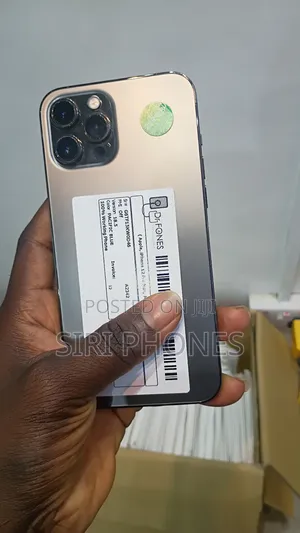 Apple iPhone 12 Pro Max 256 GB Gray
