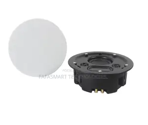 Ceiling Speaker, Dual Tweeter High End Ceiling Speaker