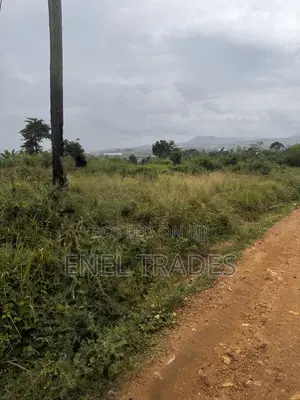 Land for Sale at Asuboi