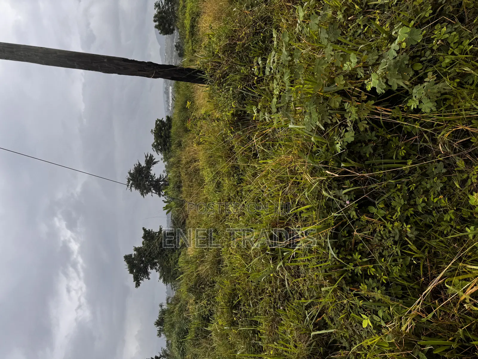 Land for Sale at Asuboi