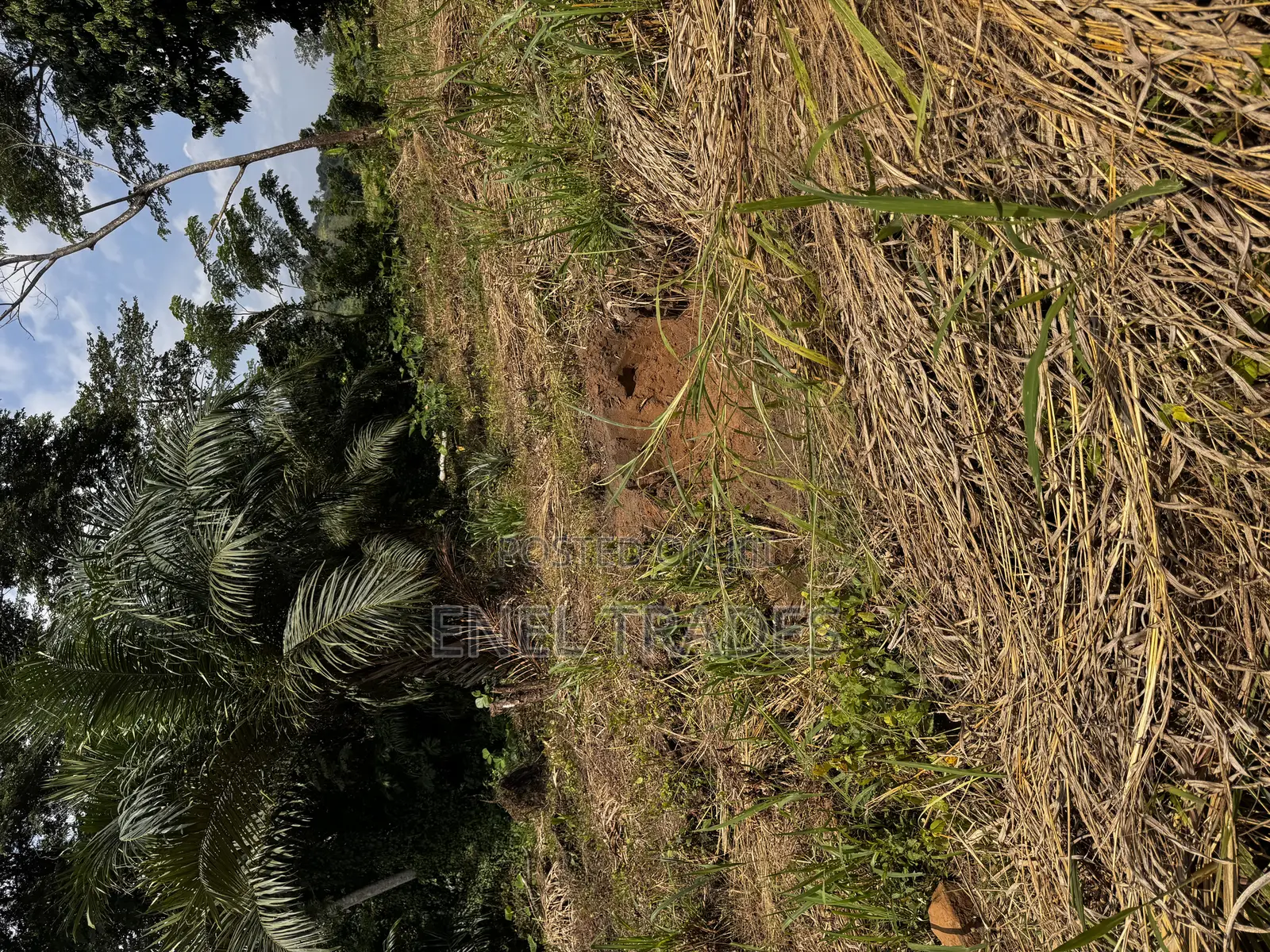 Land for Sale at Asuboi